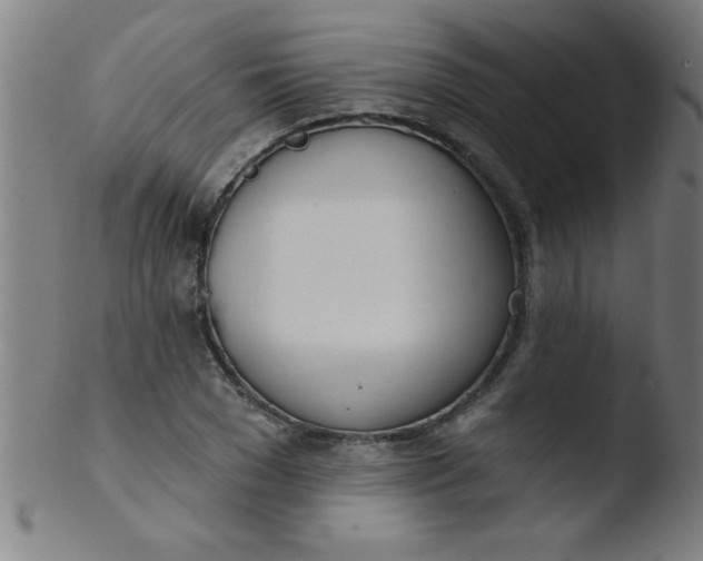 X0000103470977200809261900