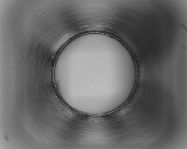 X0000103470978200809261900