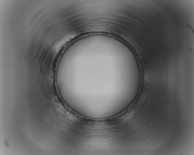 X0000103470979200809261900