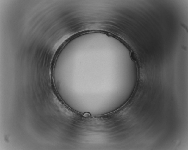 X0000103470980200809261900