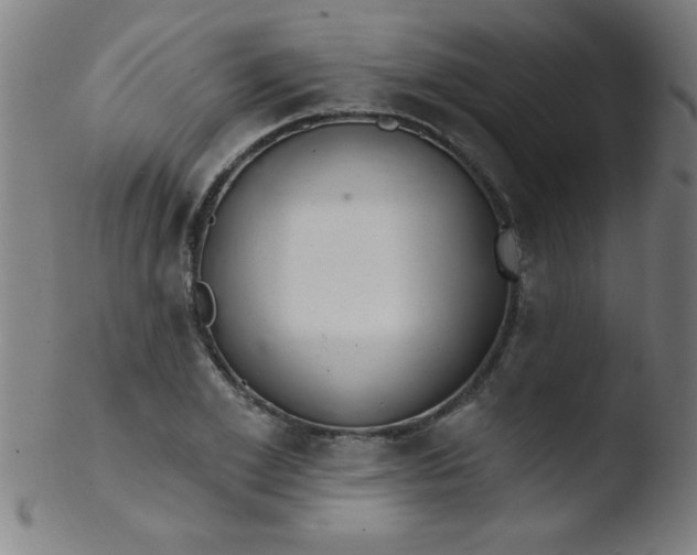 X0000103470981200809261900