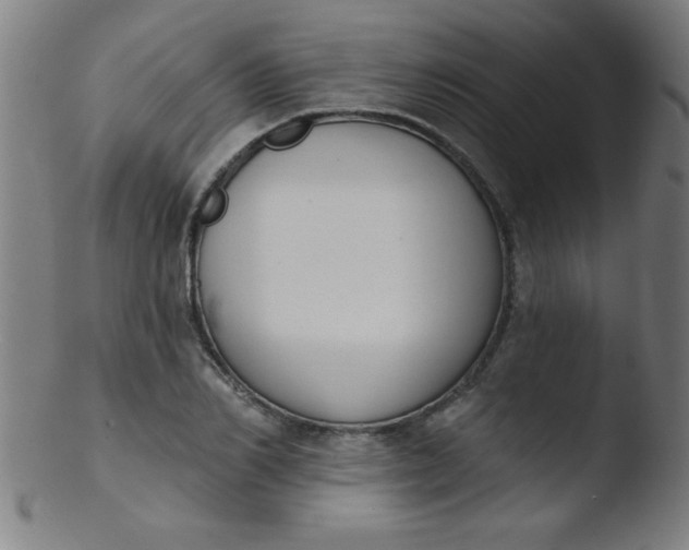 X0000103470982200809261900