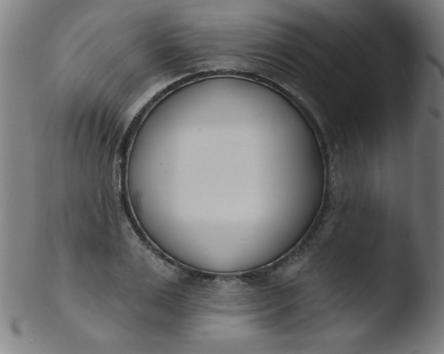 X0000103470983200809261900