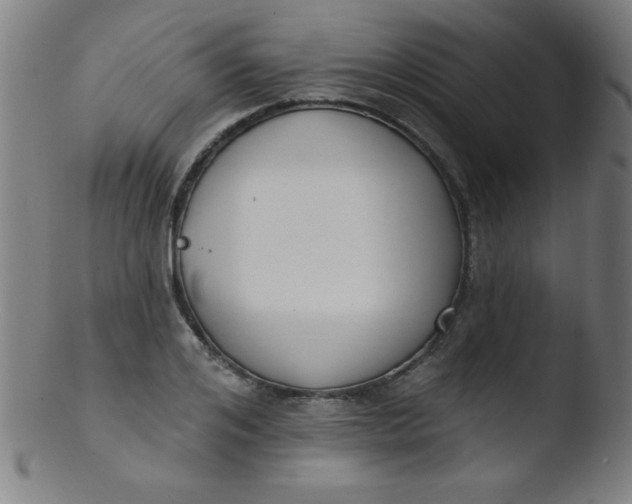 X0000103470984200809261900