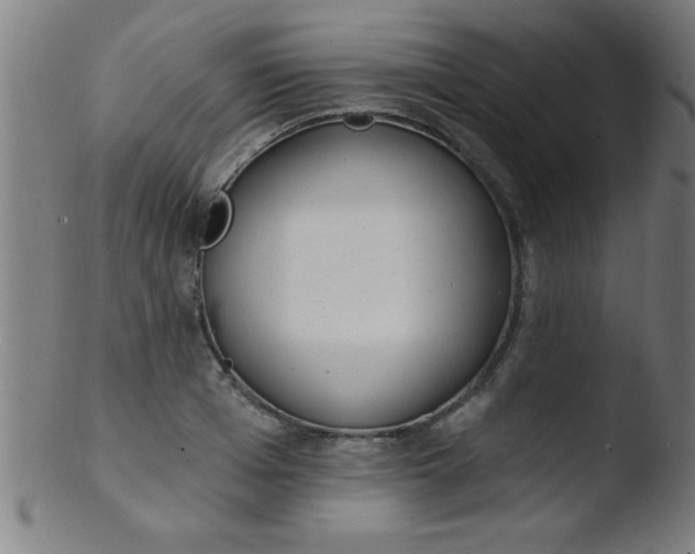 X0000103470985200809261900