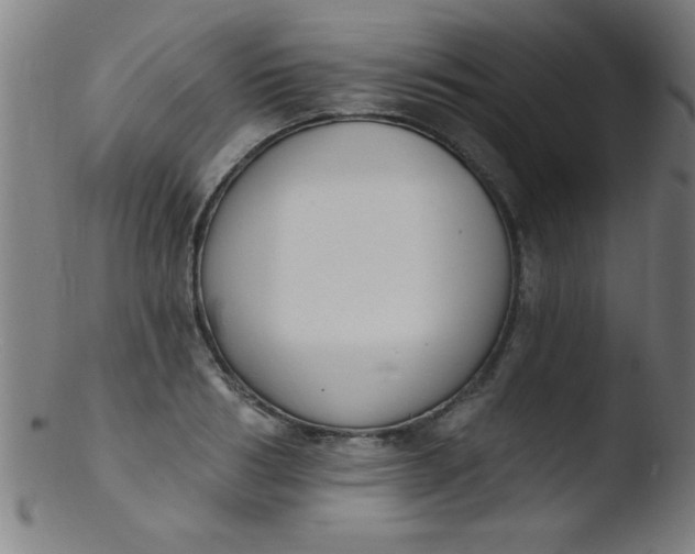 X0000103470986200809261900