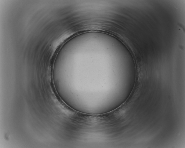 X0000103470987200809261900