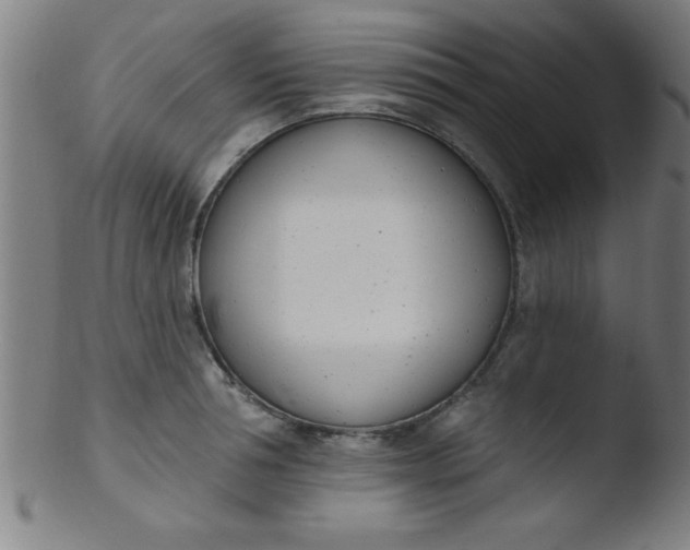 X0000103470994200809261900