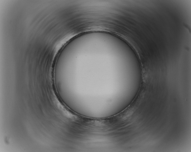 X0000103470995200809261900