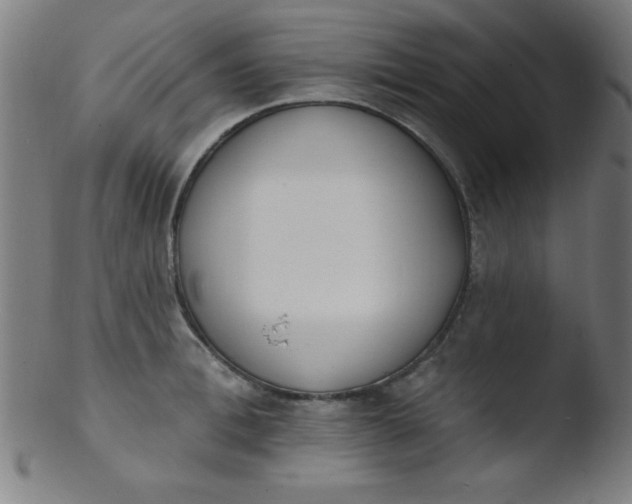 X0000103470996200809261900