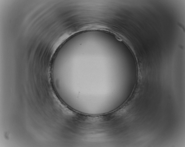 X0000103470997200809261900