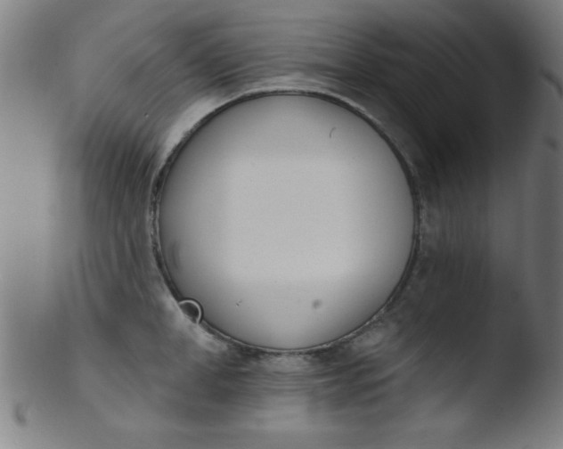 X0000103470998200809261900