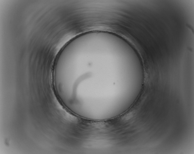 X0000103470999200809261900