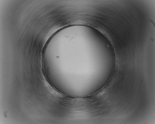 X0000103471000200809261900