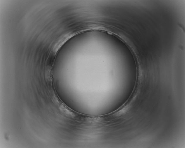 X0000103471001200809261900