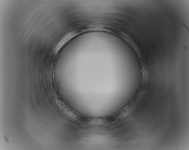 X0000103471002200809261900