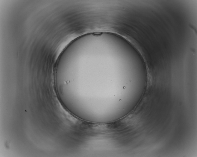 X0000103471006200809261900