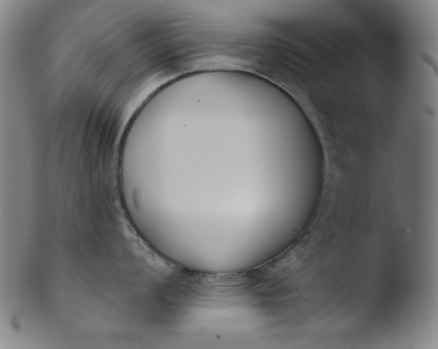 X0000103471008200809261900