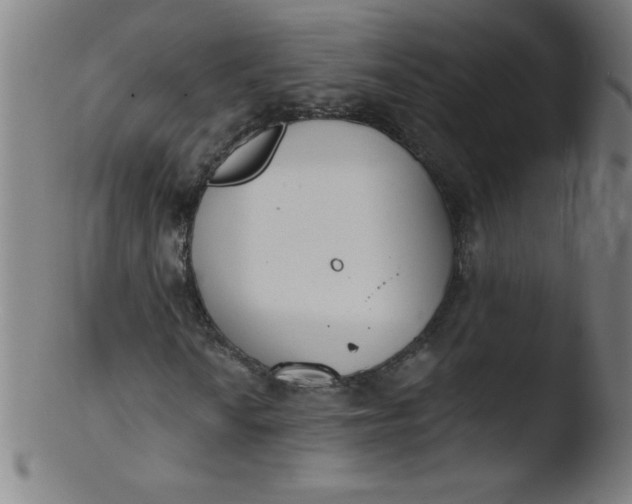 X0000103471010200809261859