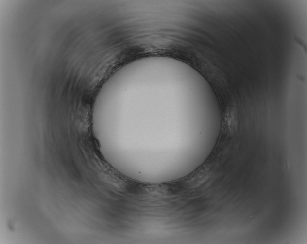 X0000103471012200809261859