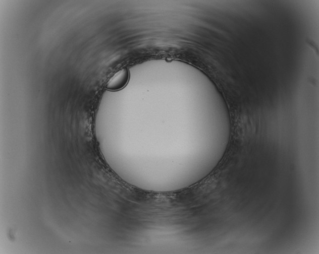 X0000103471013200809261859