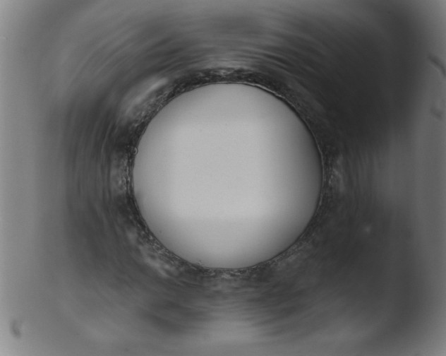 X0000103471014200809261859