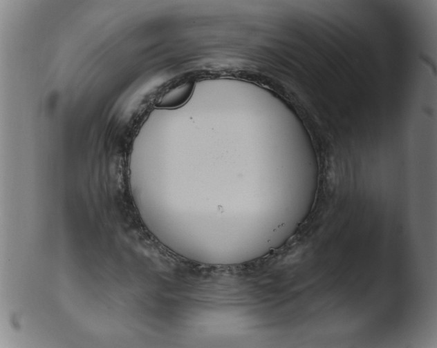 X0000103471016200809261859