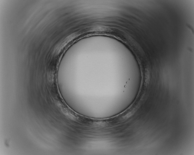 X0000103471017200809261859