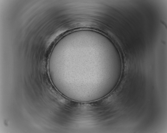 X0000103471019200809261859