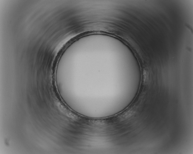 X0000103471020200809261859