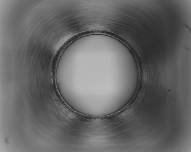 X0000103471022200809261859