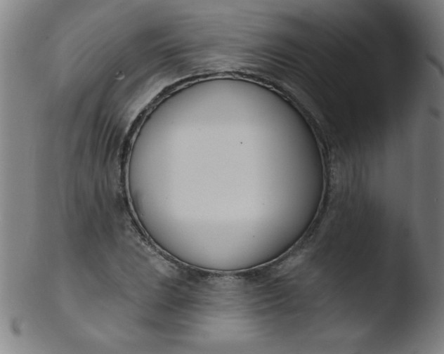 X0000103471023200809261859