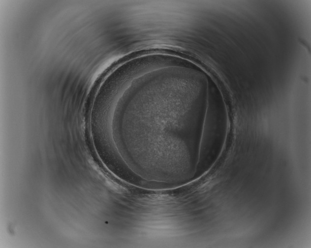 X0000103471024200809261859