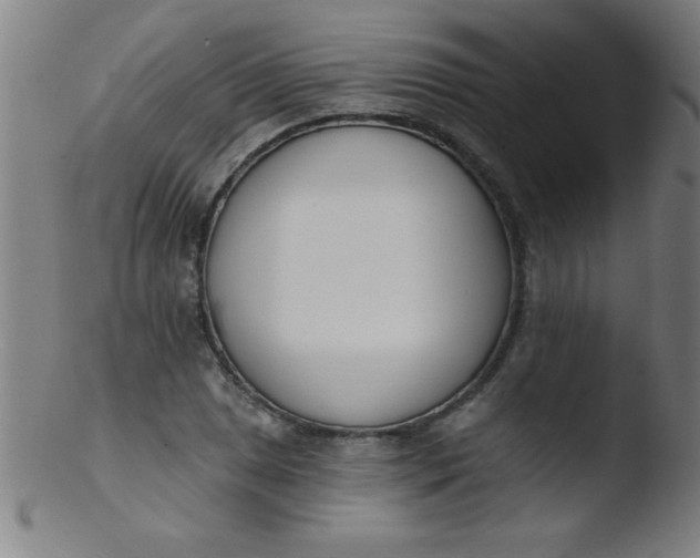 X0000103471025200809261859