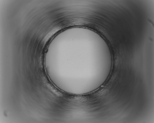 X0000103471026200809261859