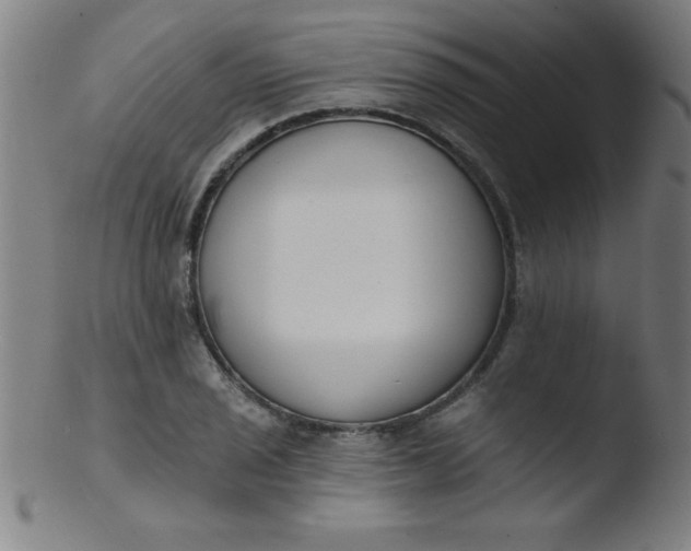 X0000103471029200809261859