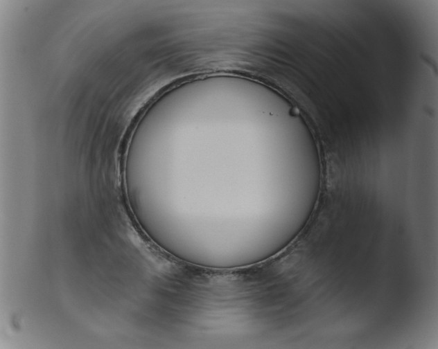 X0000103471031200809261859