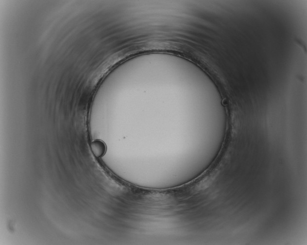 X0000103471033200809261859