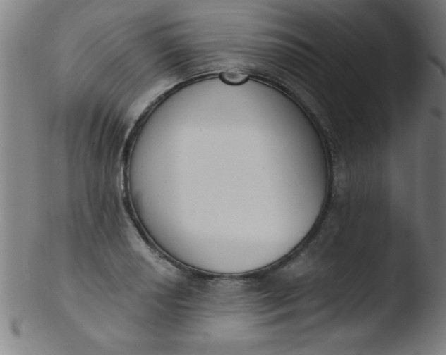 X0000103471034200809261859