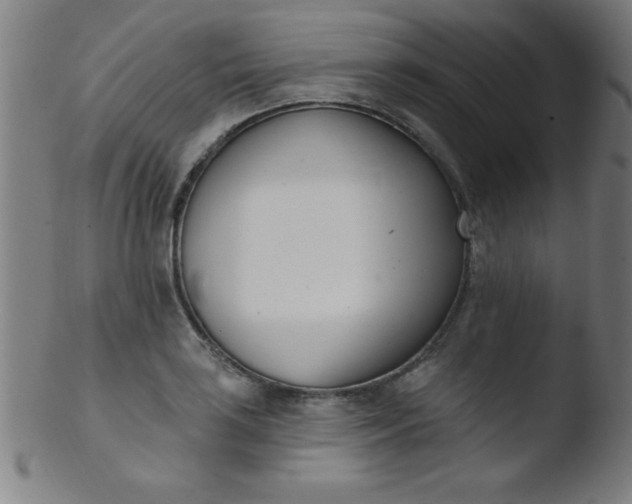 X0000103471035200809261859