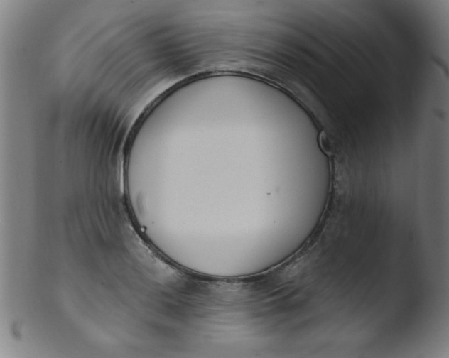 X0000103471036200809261859