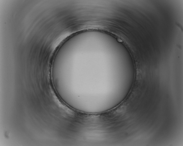 X0000103471038200809261900