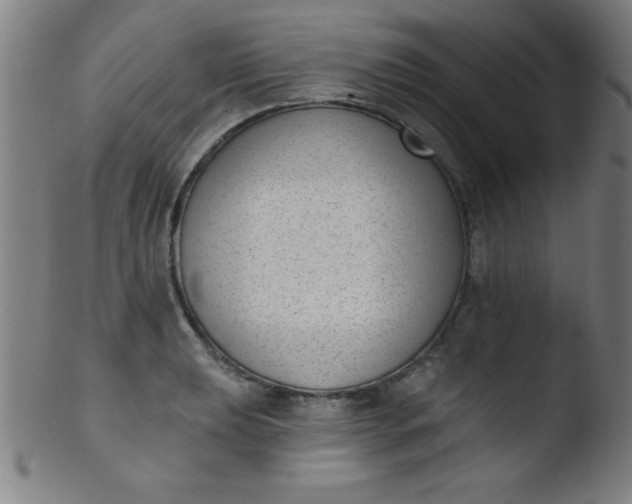 X0000103471039200809261900