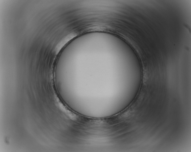 X0000103471042200809261900