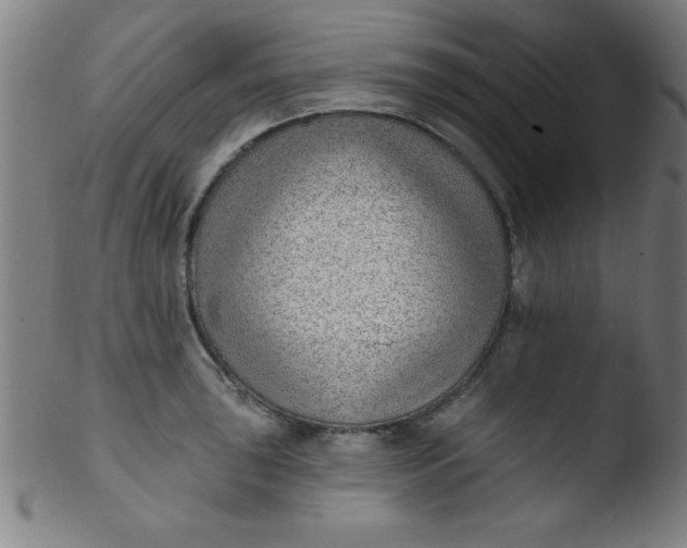 X0000103471043200809261900