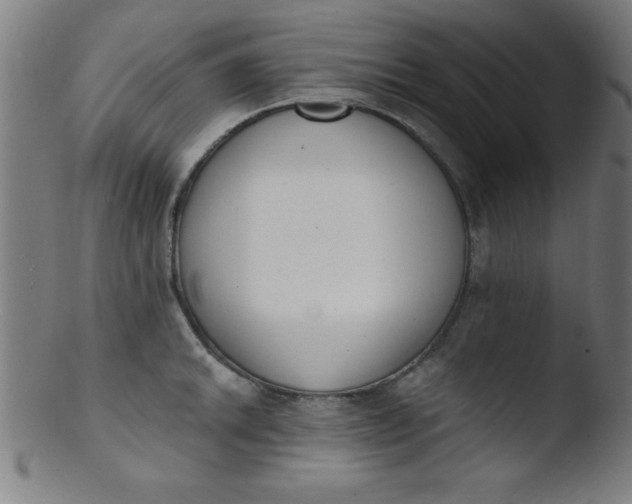 X0000103471046200809261900