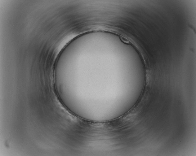 X0000103471048200809261900