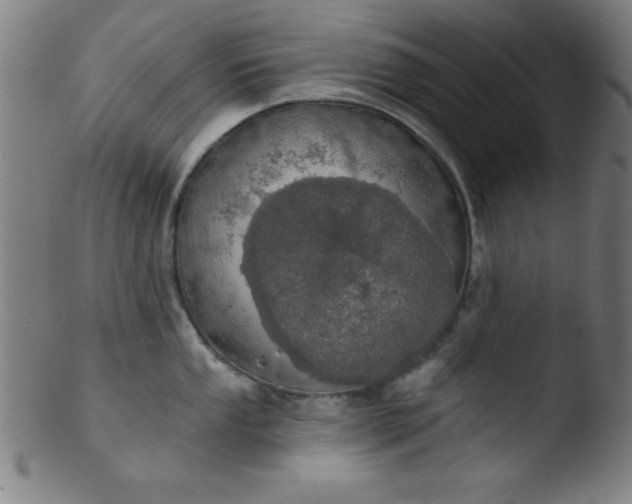 X0000103471053200809261900