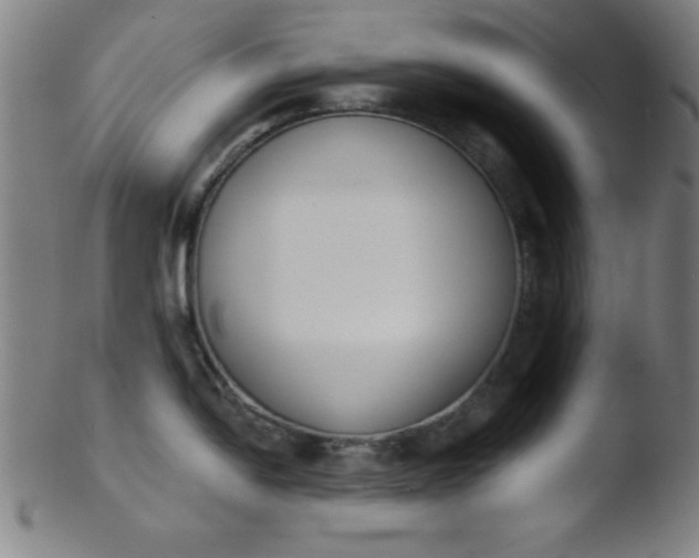 X0000103471054200809261900