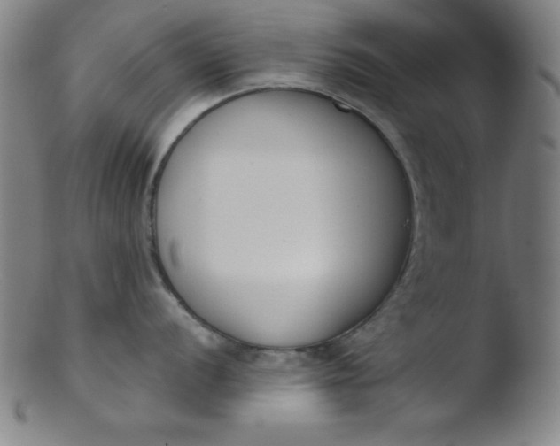 X0000103471056200809261900